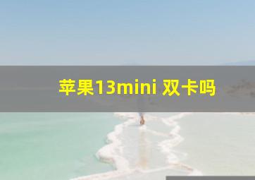 苹果13mini 双卡吗